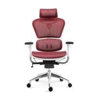 New Function Office Chair Ergonomic Office Furniture Executive Mesh Fabric Chair with Sliding Seat